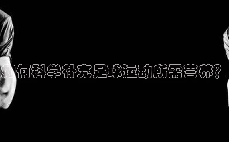 杏宇代理登录中心百度翻译App