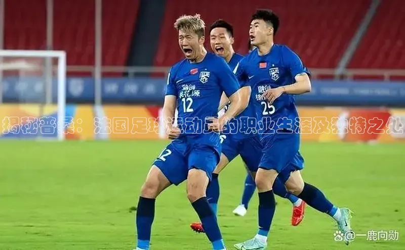 杏宇注册阿里尔公司