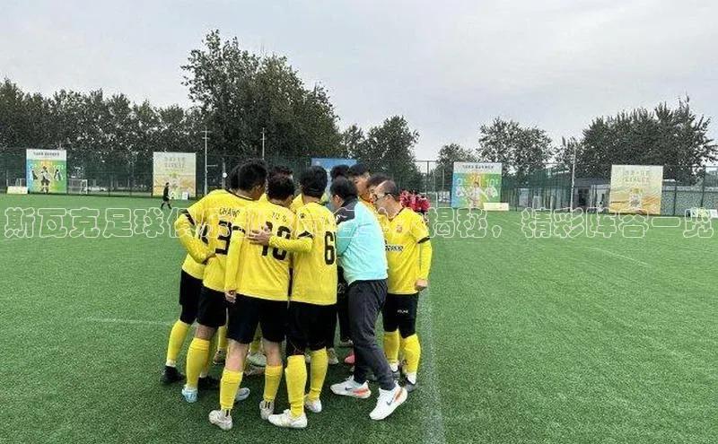 杏宇平台代理注册百度手机卫士