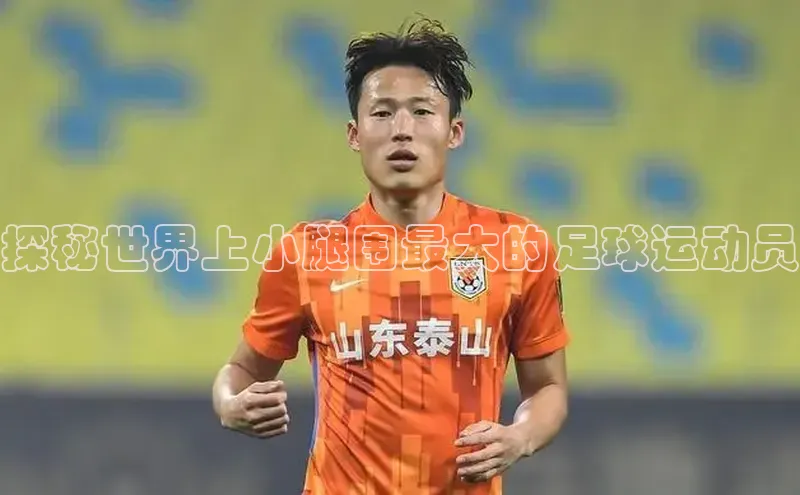 杏宇代理登录中心百度翻译App