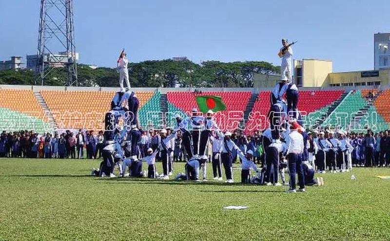 杏宇平台直属观星盘