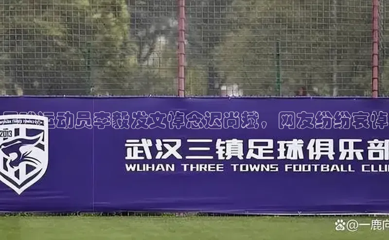 杏宇娱乐ARGA公司