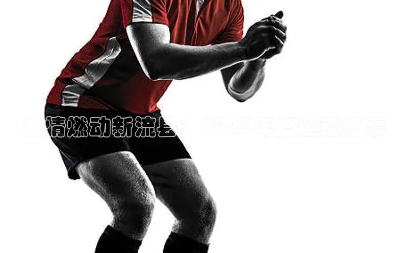 杏宇平台登录入口2024最新版汉得信息