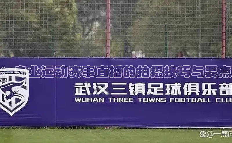 杏宇平台登录首页