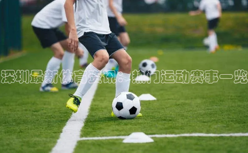杏宇平台登录入口注册账号