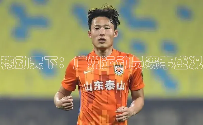 杏宇代理登录中心